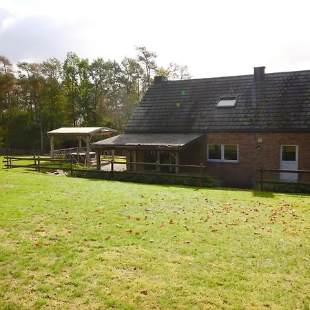 Ferienhaus 19